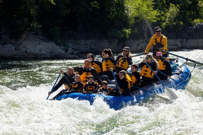 Whitewater Rafting in Jackson Hole : Family Standard Raft - Rapids and Route Details