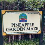 World Famous Dole Plantation & The North Shore Island Tour! - Tour Details