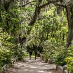 Wormsloe Historic Site & Bonaventure Cemetery Tour From Savannah - Tour Overview