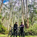 Yarra Valley: Redwood Forest Mountain Bike Adventure - Adventure Details