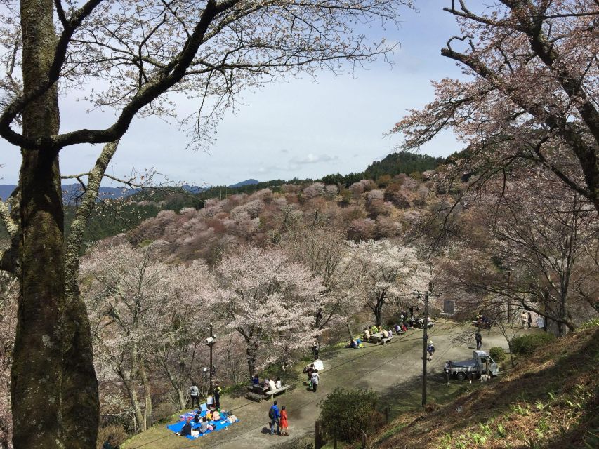 Yoshino: Private Guided Tour & Hiking in a Japanese Mountain - Overview of the Tour