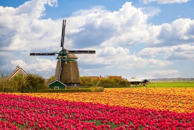 Zaanse Schans Windmills and Volendam Small-Group Tour From Amsterdam