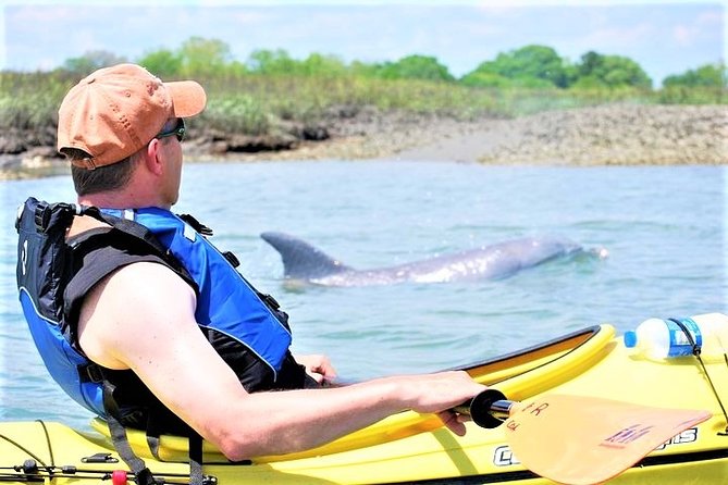 2-Hour Guided Kayak Eco Tour in Charleston - Key Points
