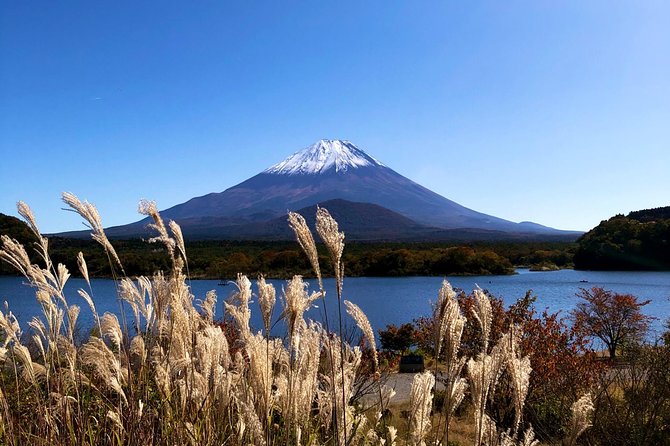 1 Day Charter Tour to Mt Fuji View - Meeting and Pickup