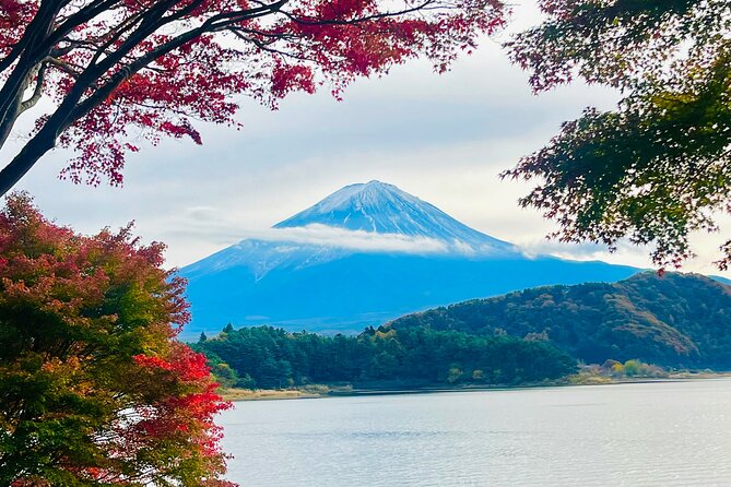 1 Day Tour Mt Fuji,Lake Kawaguchiko With English Speaking Guide - Additional Information
