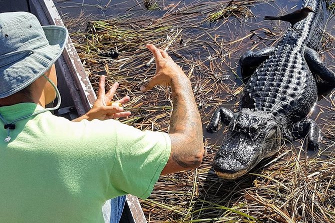 1-Hour Air Boat Ride and Nature Walk With Naturalist in Everglades National Park - Transportation Information