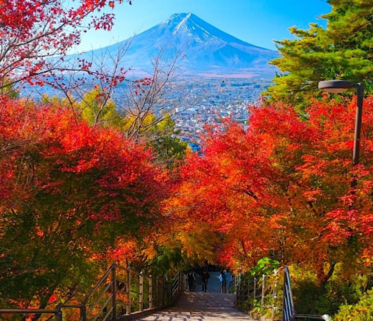 2-Day Private Tokyo MT Fuji and Hakone Tour With Guide - Iconic Senso-ji Temple
