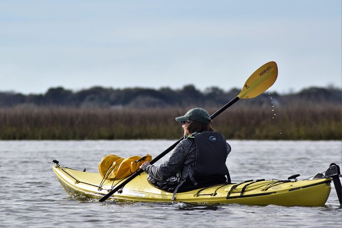 2-Hour Guided Kayak Eco Tour in Charleston - Whats Included