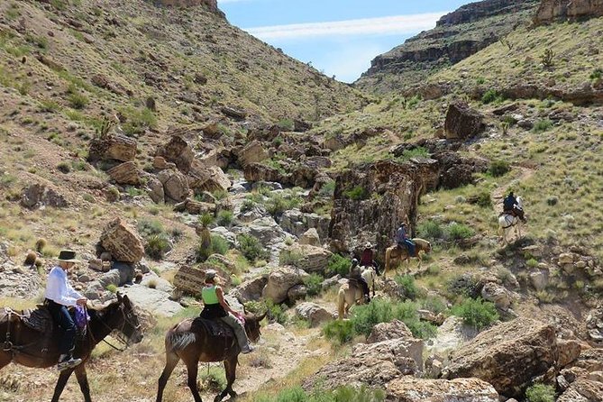 2-Hour Horseback Riding Through Red Rock Canyon - Scenic Ride and Wildlife Exploration