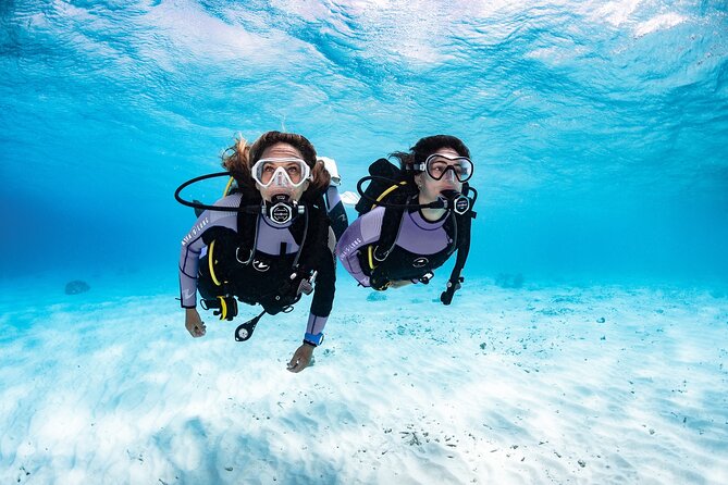 3-Hour Guided PADI Scuba Diving Experience in Tenerife - Ideal for First-Time Divers