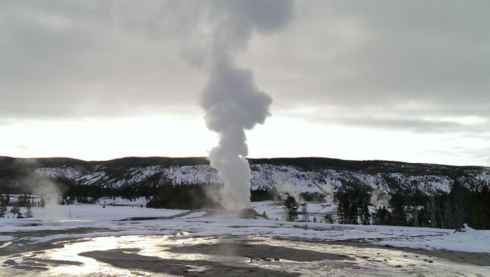 5-Day Winter Yellowstone Wildlife Tour - Detailed Itinerary