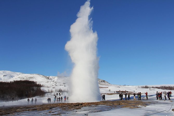 8-Day Small Group Tour Around Iceland in Minibus From Reykjavik - Reviews