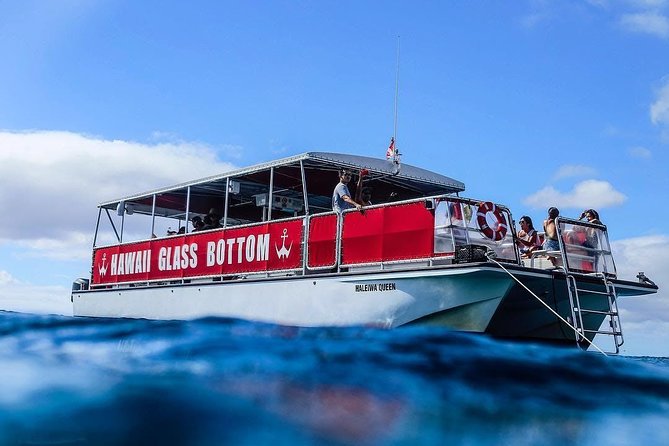 Afternoon Waikiki Glass Bottom Boat Cruise - Cruise Experience
