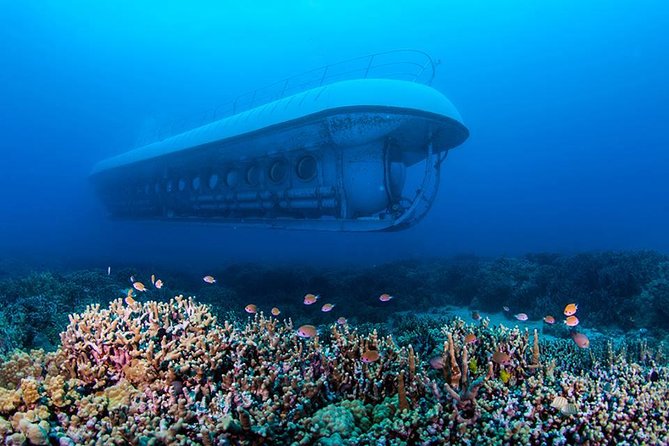 Atlantis Submarine From Kona Beach - Marine Life Exploration