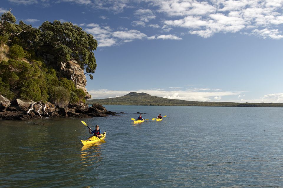 Auckland: Half-Day Sea Kayak Tour to Motukorea Island - Pricing Information