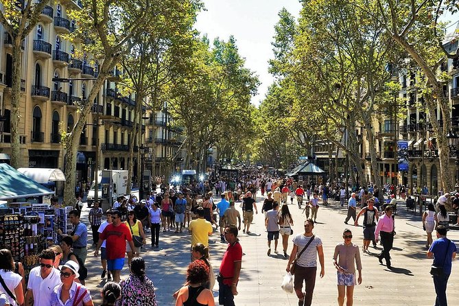 Barcelona Highlights Small Group Tour With Hotel Pick up - Inclusions