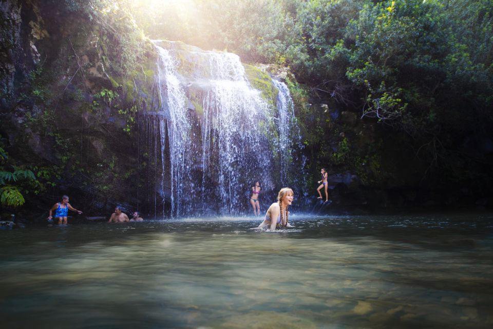Big Island: Full Day Adventure Tour of the Kohala Waterfalls - Itinerary