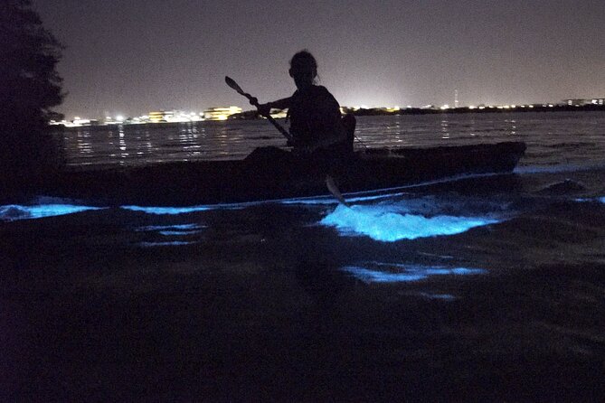 Bioluminescence Kayak Tour - Location Details