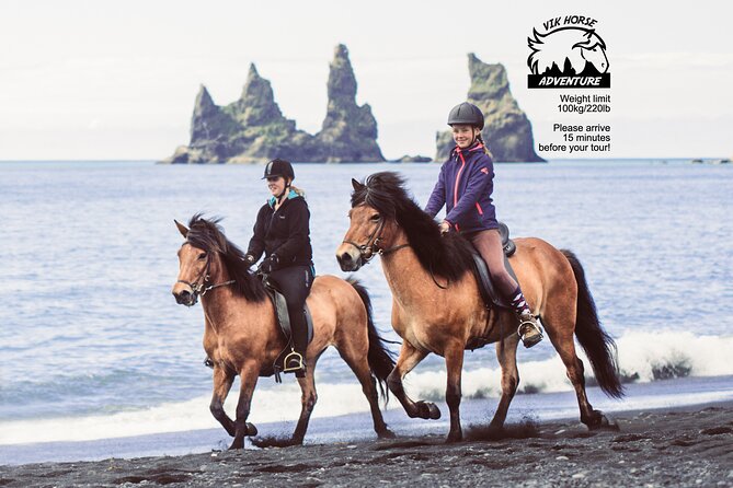 Black Sand Beach Horse Riding Tour From Vik - Tour Inclusions