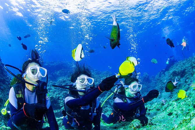 Blue Cave Experience Diving [Charter System / Boat Holding] | I Am Very Satisfied With the Beautiful Facilities of the Shop - Inclusions and Whats Covered