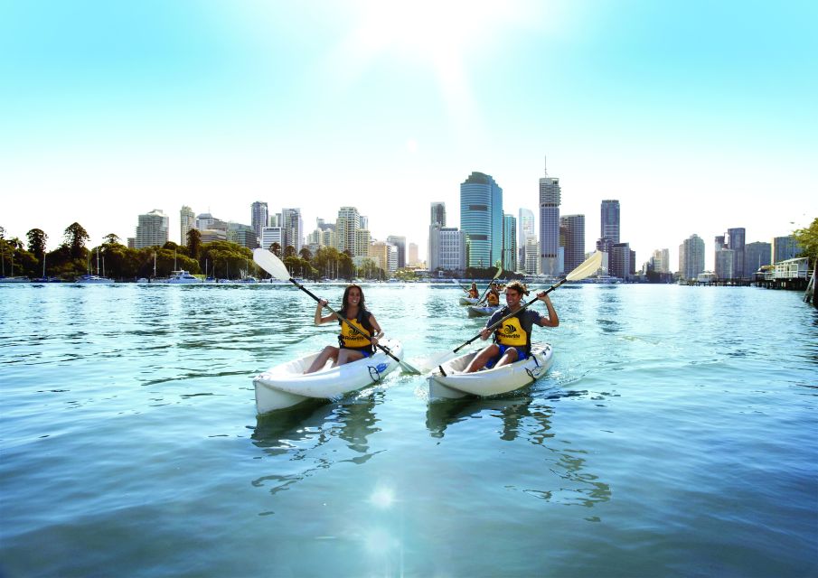 Brisbane: Guided River Kayak Tour - Booking Information