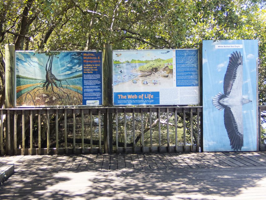 Brisbane: Kangaroos, Birds and Mangroves Coastal Tour - Pickup Information