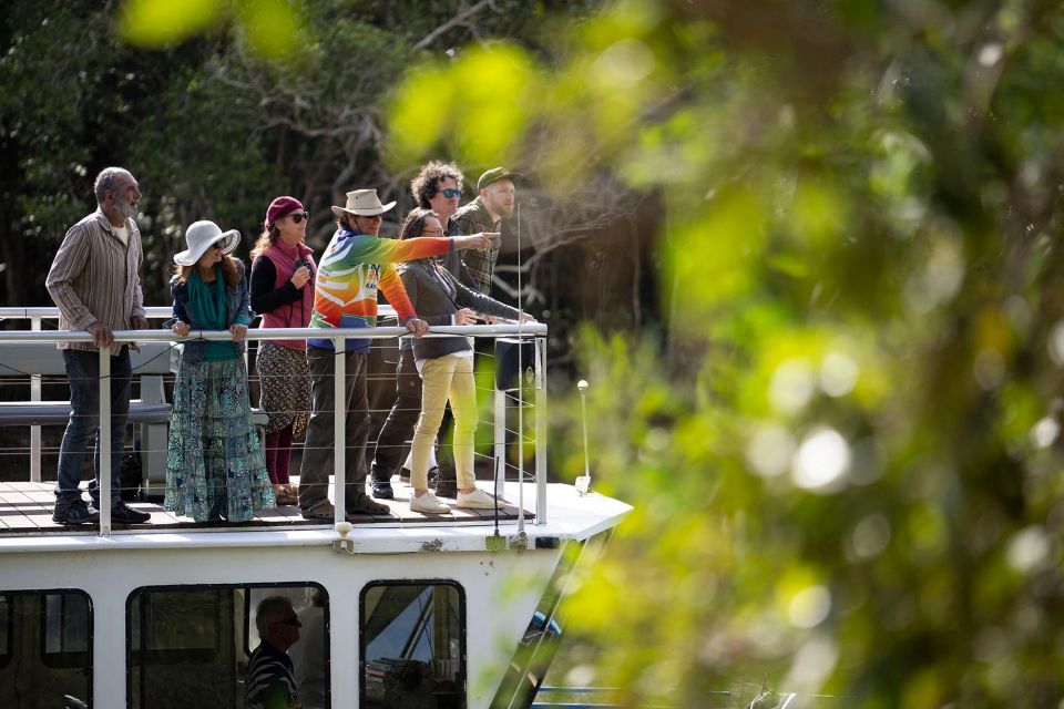 Brunswick River: Byron Sunset Eco Rainforest River Cruise - Experience Description