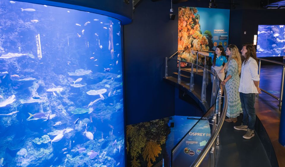 Cairns: Pre-Opening Guided Tour of the Cairns Aquarium - Experience Highlights