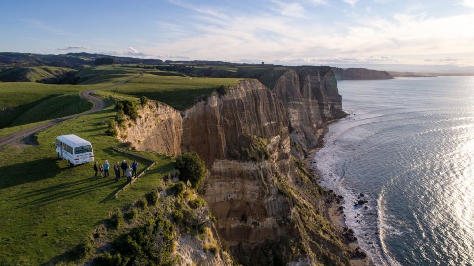 Cape Kidnappers: Gannet Colony Exclusive Sunrise Tour - Pricing Information