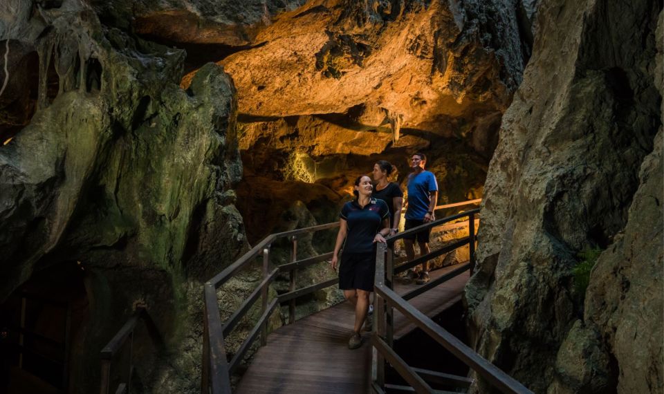 Capricorn Caves, Australia: 45-Minute Cathedral Cave Tour - Tour Highlights
