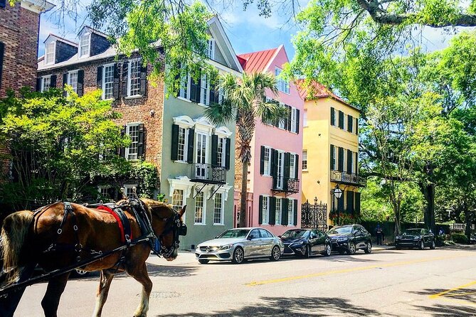 Charleston Horse & Carriage Historic Sightseeing Tour - Meeting and Pickup