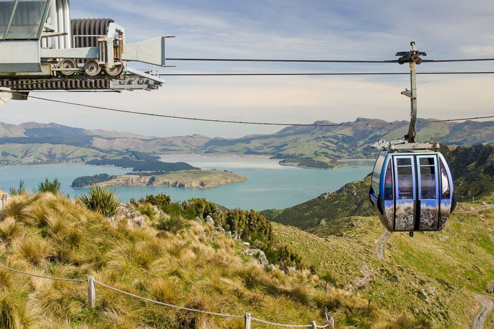 Christchurch Gondola and Tram City Tour Combo - Booking Information