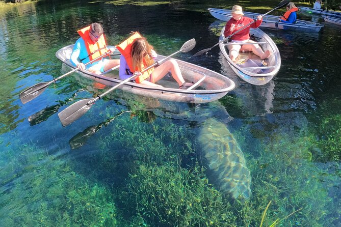Clear Kayak Manatee Ecotour of Crystal River - Reviews