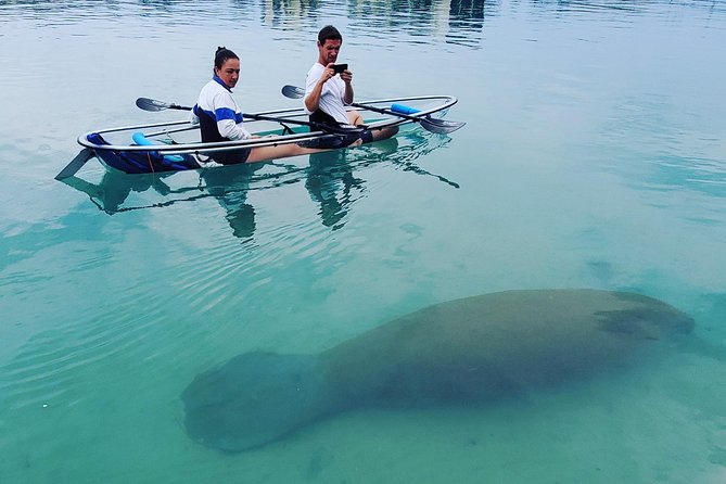 Clear Kayak Tour in Jupiter - Meeting and Pickup