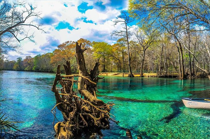 Cypress Springs Eco Adventure - Itinerary Highlights