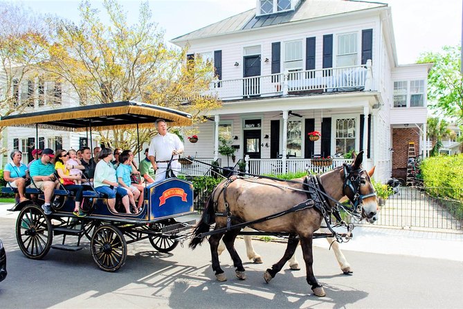 Daytime Horse-Drawn Carriage Sightseeing Tour of Historic Charleston - Tour Experience