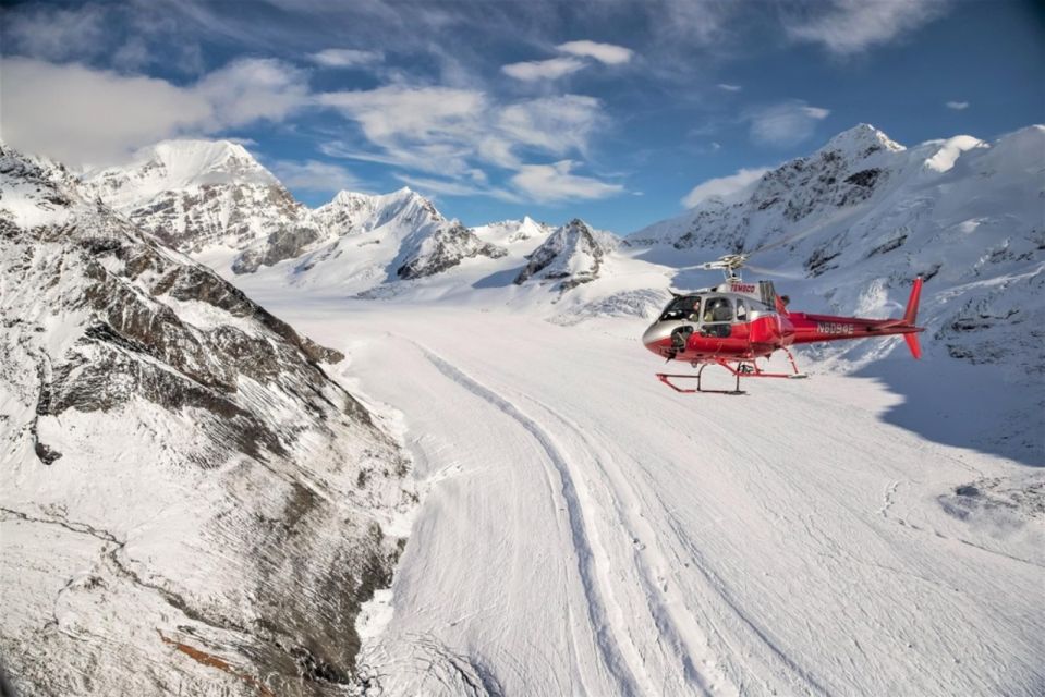 Denali National Park: Helicopter Flight With Glacier Landing - Important Information