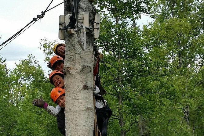 Denali Zipline Tour in Talkeetna, AK - Tour Details