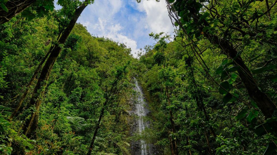 Diamond Head Manoa Falls - Itinerary Overview