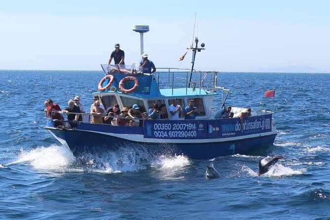 Dolphin Watching in Gibraltar With the Blue Boat Dolphin Safari - Enjoy Scenic Views of Gibraltar