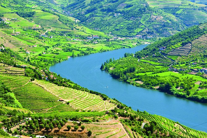 Douro Valley: Food and Wine Small Group Tour From Porto - Winery Visits and Tastings