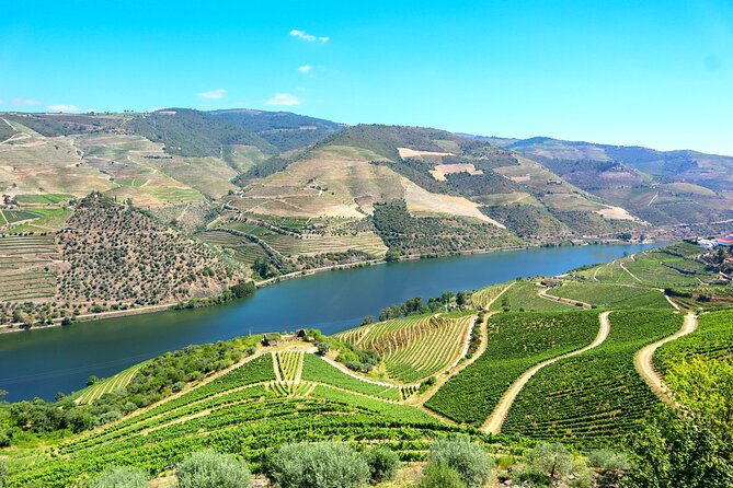 Douro Valley Tour: 3 Wineries, 9 Wine Tastings and Lunch - Pickup Details and Logistics