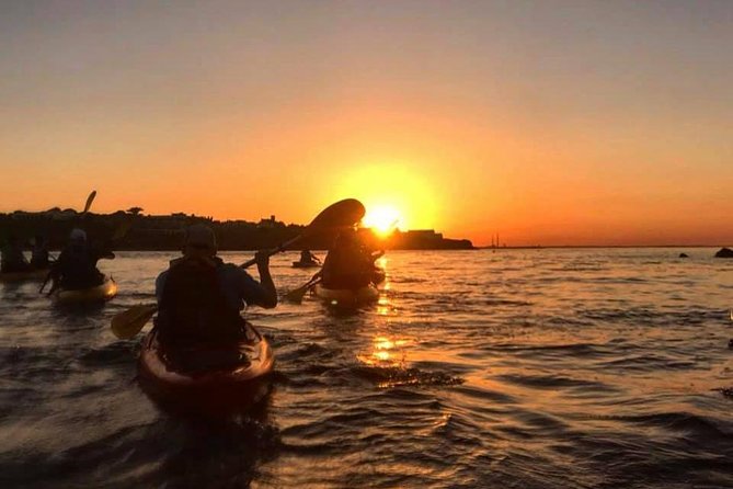 Dublin Bay Seal Kayaking Safari at Dalkey - Dalkey Island Seal Colony