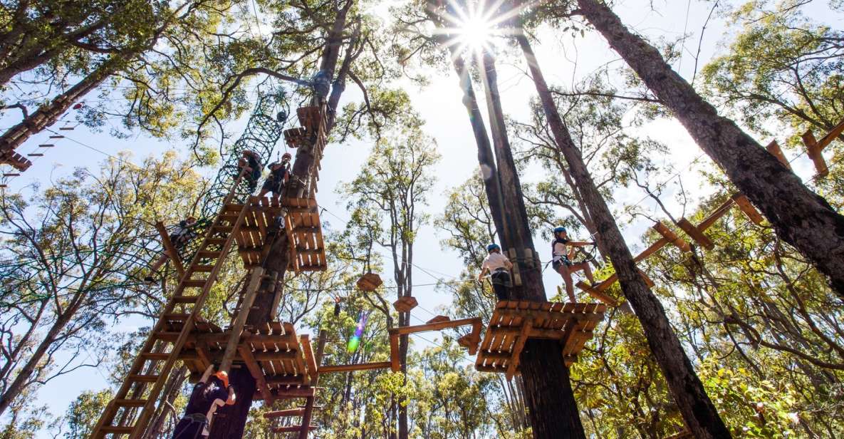Dwellingup: Tree Ropes Course - Reservations