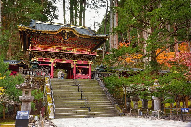 Explore Nikko in a Day - Private Car With English Speaking Driver - Included Services