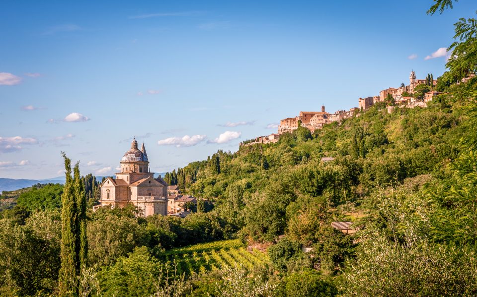 Florence: Montepulciano and Pienza Private Full-Day Tour - Activity Description