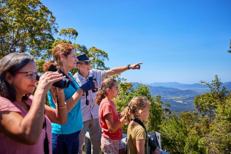 From Cairns: Rainforest & Nocturnal Wildlife Tour - Itinerary