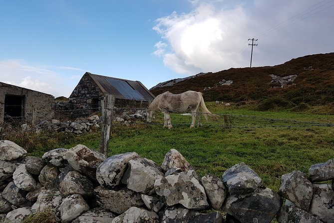 From Galway: Guided Tour of Connemara With 3 Hour Stop at Connemara National Pk. - Frequently Asked Questions