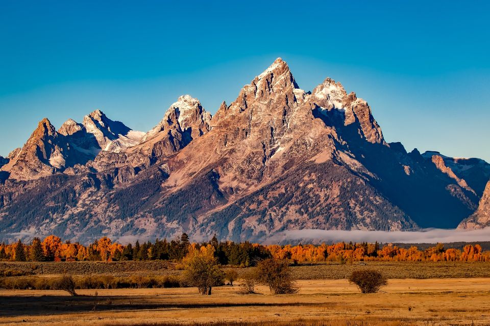 From Jackson: Half-Day Grand Teton National Park Tour - Booking Information