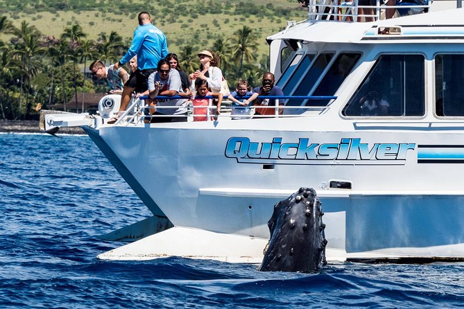 From Maalaea Harbor: Whale Watching Tours Aboard the Quicksilver - Tour Inclusions